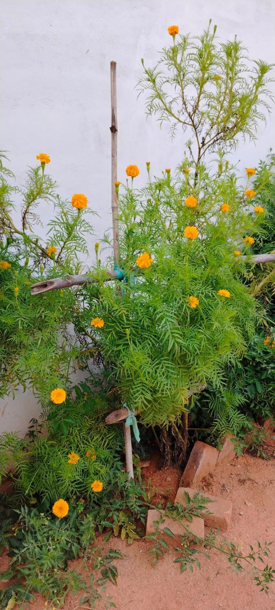 Laxmi Home Stay Ghura Kültér fotó